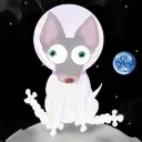 CASP Discord Server