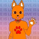 orange the cute fox's server