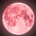 𝖯𝖨𝖭𝖪𝖬𝖮𝖮𝖭