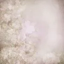 ✶ In the Wake of a Wish