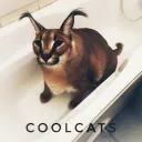 CoolCats