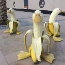D Boiz