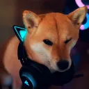 The Doges Games