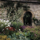 Peregrine Server Icon