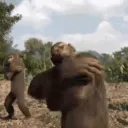 Monkey Army