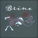 🍄 Zen Child Designs & Brine | 𝐂𝐎𝐍𝐂𝐇 𝐈𝐒𝐋𝐀𝐍𝐃 𝑒𝓆𝓊𝒾𝓃𝑒𝓈