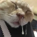 nmmg