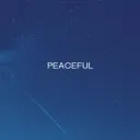 Peaceful Network