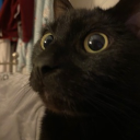 Kin Corner ♡ Discord server icon