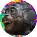 Low Elo Bonobos