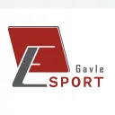 GavleEsport