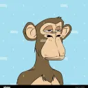 Monkey Ape Club
