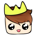 DenjiSMP®