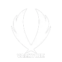 Valkyrie Gaming Network