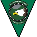 555th 'Triple Nickels' Virtual Fighter Squadron