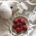 ✦ mysa