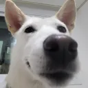 즐거운 레이드