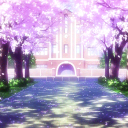Cherry Blossom Academy Server Icon
