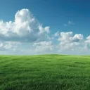 Pasture
