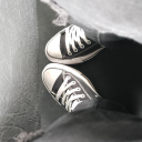 The HOMOsapiens Server Icon