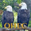Ohio Eagle Cam