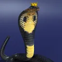 Crypto Serpents