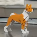 Basenjitoken (DOG)
