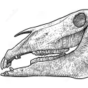 死馬の骨ギター部（復刻）