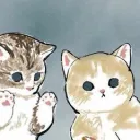 🐾 ᓚᘏᗢ  !! THE FLUFFY CATS !! 🐈