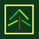 Pinebox a.k.a. ''The Forest''
