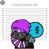 Crooks Of Cronos - NFT Project on $CRO