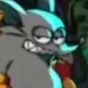 rat