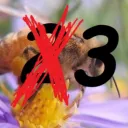 Apiarists/Beekeepers
