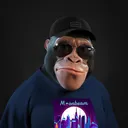 GLIMMER KONGS CLUB