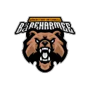 Bärenarmee