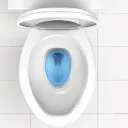 The Toilet Bowl