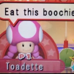 Toadette stans Icon