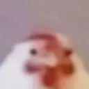 Mpiristan