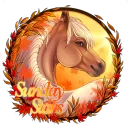 🤎 | sunday stars open server