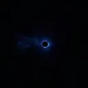 S...... ....  | 1.11.2024