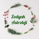 Zodyak Astroloji Discord Server Icon