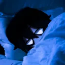 AdamKyun's Sleep Zone