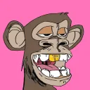 Toothy Lab
