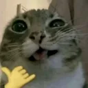 Lost Paradise (16+) Discord Server Icon