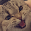 TooBad Community icon