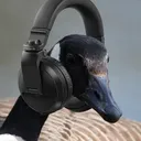UWDJ