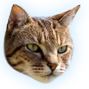 Runibl