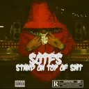 SOTFS Discord Server Icon