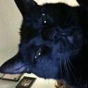 Norie’s basement Discord Server Icon