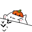 .gg/Mongocat